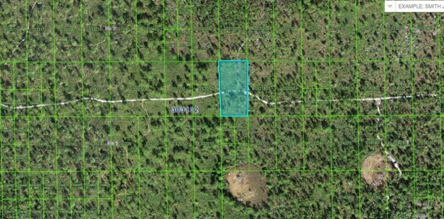 Terreno en Lake Wales, Florida № 2226948