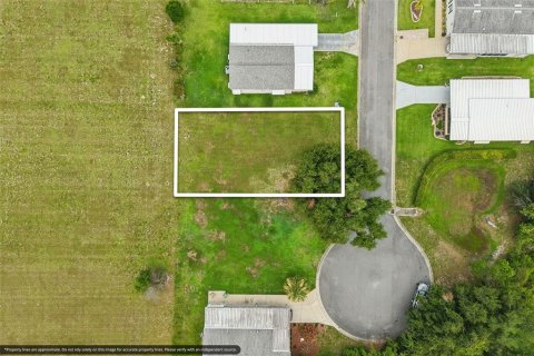 Terreno en venta en Leesburg, Florida № 2236215 - foto 11