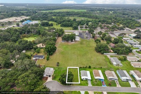 Terreno en venta en Leesburg, Florida № 2236215 - foto 2