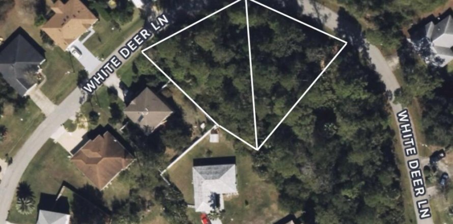 Land in Palm Coast, Florida № 770754