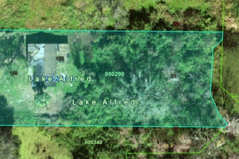 Land in Lake Alfred, Florida № 1918504 - photo 1