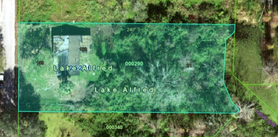 Land in Lake Alfred, Florida № 1918504
