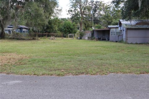 Casa en venta en Nobleton, Florida, 2 dormitorios, 63.17 m2 № 1295864 - foto 3