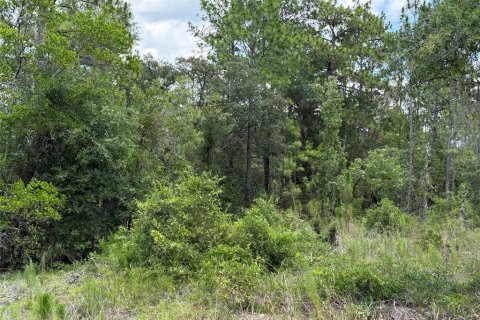 Land in Williston, Florida № 2229435 - photo 2