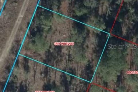 Land in Williston, Florida № 2229435 - photo 8