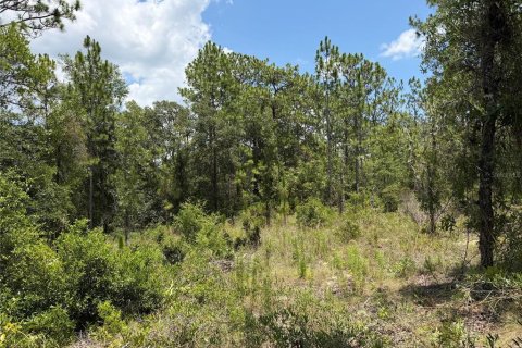 Land in Williston, Florida № 2229435