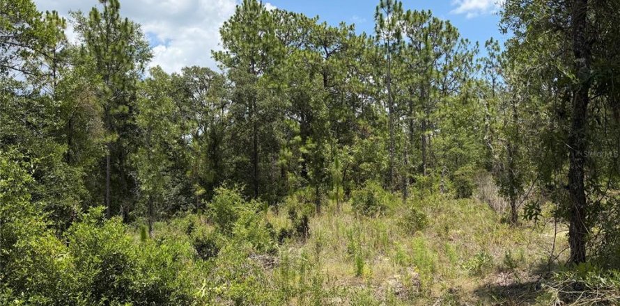 Land in Williston, Florida № 2229435