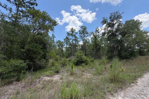 Land in Williston, Florida № 2229435 - photo 4