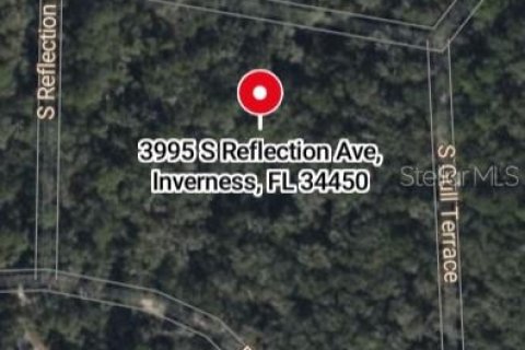 Land in Inverness, Florida № 2160190 - photo 2