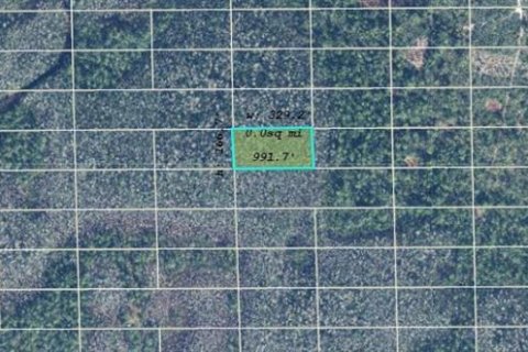 Land in Orlando, Florida № 2161394 - photo 2