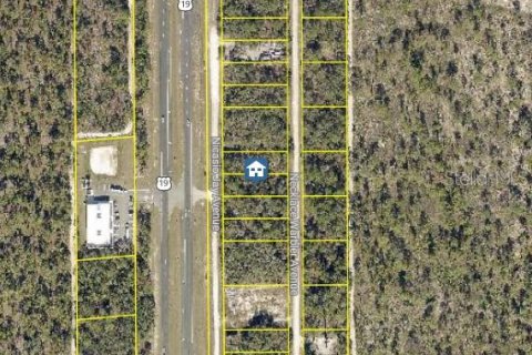 Land in Weeki Wachee, Florida № 2235048 - photo 2