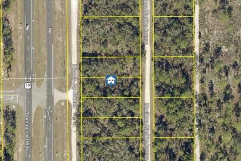 Land in Weeki Wachee, Florida № 2235048