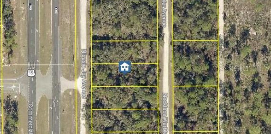 Land in Weeki Wachee, Florida № 2235048