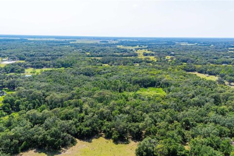 Terreno en venta en Dade City, Florida № 1760180 - foto 20