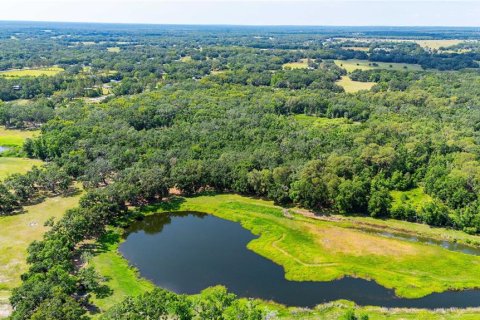 Terreno en venta en Dade City, Florida № 1760180 - foto 17