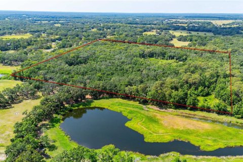 Terreno en venta en Dade City, Florida № 1760180 - foto 6