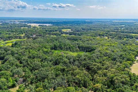 Terreno en venta en Dade City, Florida № 1760180 - foto 21