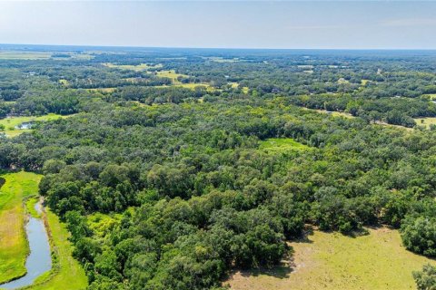Terreno en venta en Dade City, Florida № 1760180 - foto 19