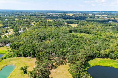 Terreno en venta en Dade City, Florida № 1760180 - foto 16