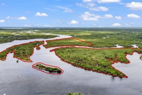 Купить земельный участок в Аркадия, Флорида № 2134997 - фото 5