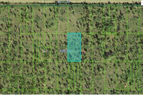 Terreno en Lake Wales, Florida № 2202848