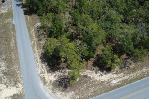 Terrain à vendre à Dunnellon, Floride № 2234193 - photo 2