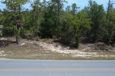Terrain à vendre à Dunnellon, Floride № 2234193 - photo 4