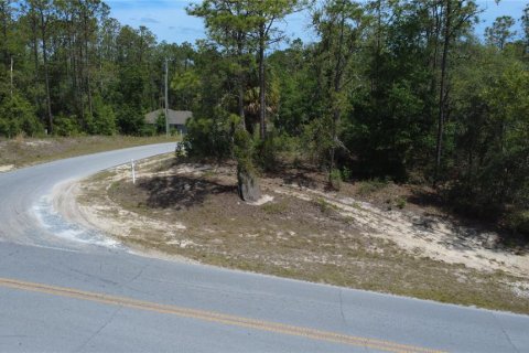 Terrain à vendre à Dunnellon, Floride № 2234193 - photo 3