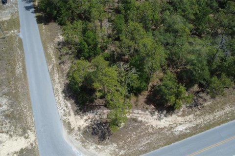 Land in Dunnellon, Florida № 2234193