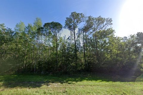 Land in Orlando, Florida № 2218726 - photo 2