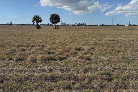 Land in Placida, Florida № 2159157 - photo 2