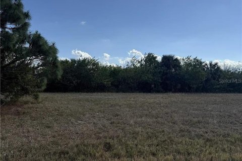 Land in Placida, Florida № 2159157 - photo 4