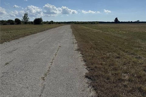 Land in Placida, Florida № 2159157 - photo 5