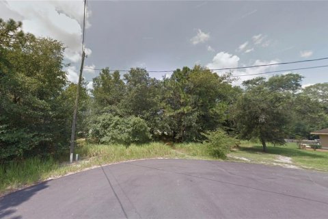 Land in Ocala, Florida № 2161603