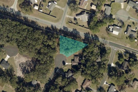 Land in Ocala, Florida № 2161603 - photo 2
