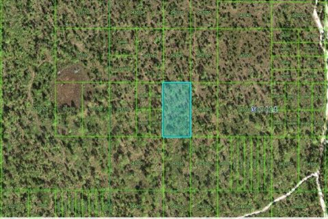Terreno en Frostproof, Florida № 2160717