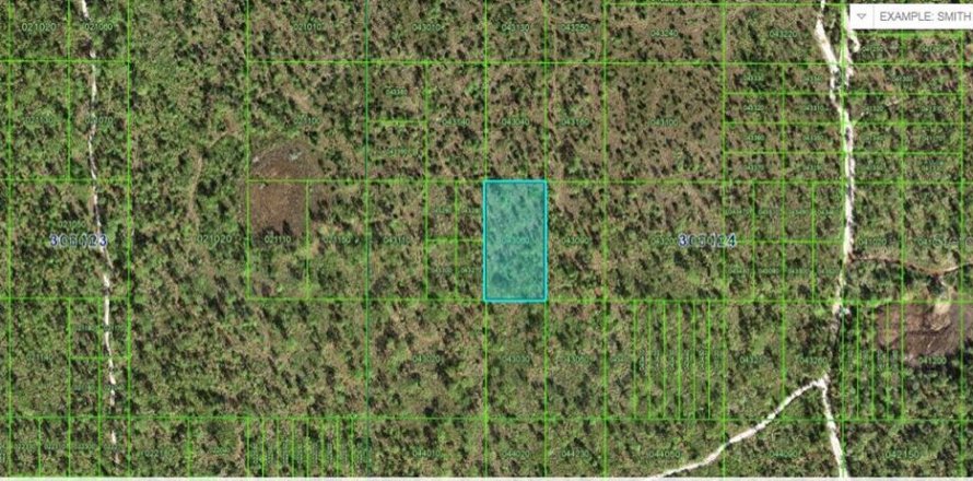 Terreno en Frostproof, Florida № 2160717