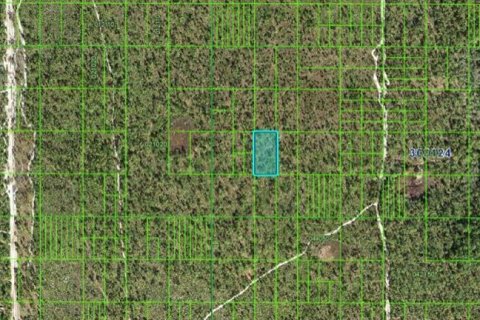 Terreno en venta en Frostproof, Florida № 2160717 - foto 3