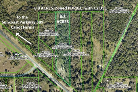 Land in Brooksville, Florida № 2235333