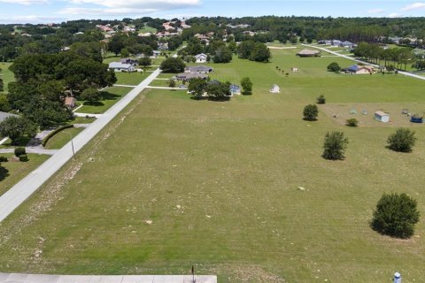 Land in Hernando, Florida № 1813606 - photo 14