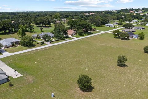 Land in Hernando, Florida № 1813606 - photo 12