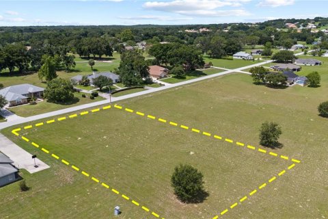 Land in Hernando, Florida № 1813606 - photo 13