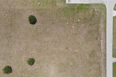Land in Hernando, Florida № 1813606 - photo 6