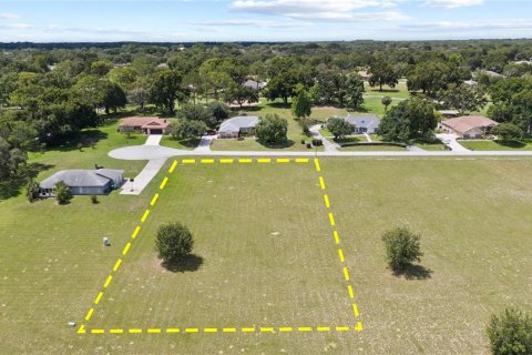 Land in Hernando, Florida № 1813606 - photo 11