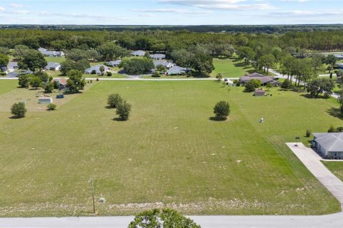 Land in Hernando, Florida № 1813606 - photo 5