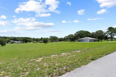 Land in Hernando, Florida № 1813606 - photo 3