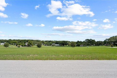 Land in Hernando, Florida № 1813606 - photo 2