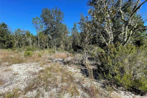 Terrain à vendre à Bronson, Floride № 2239994 - photo 6