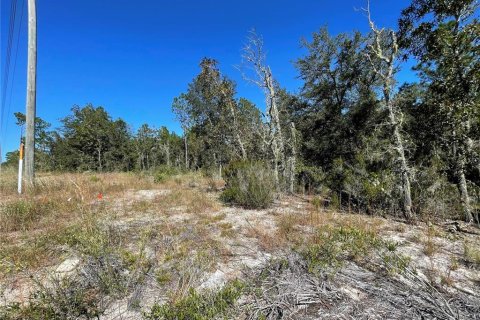Terrain à vendre à Bronson, Floride № 2239994 - photo 4