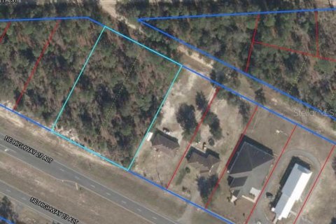 Land in Bronson, Florida № 2239994